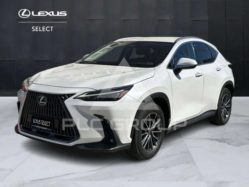 2023 Lexus NX250