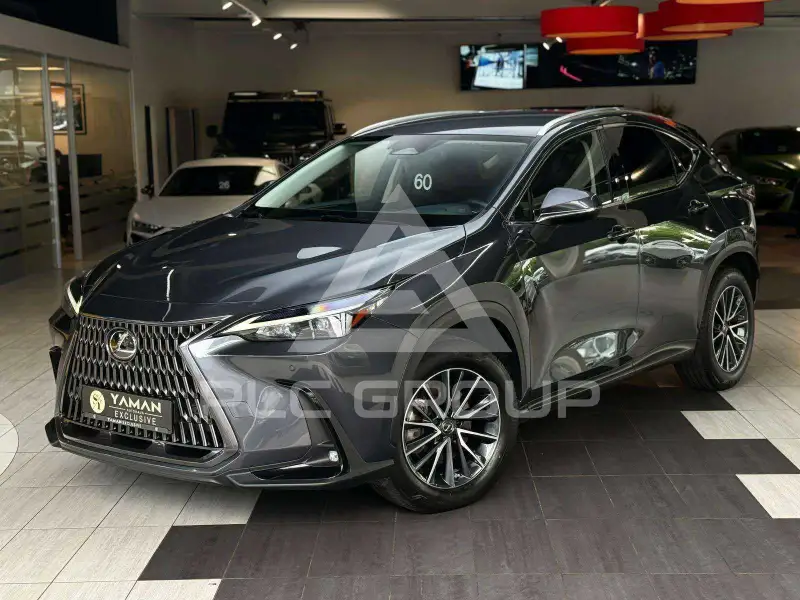 2023 Lexus NX250