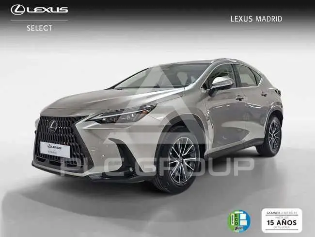 2023 Lexus NX250