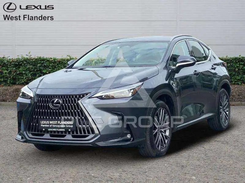 2023 Lexus NX250