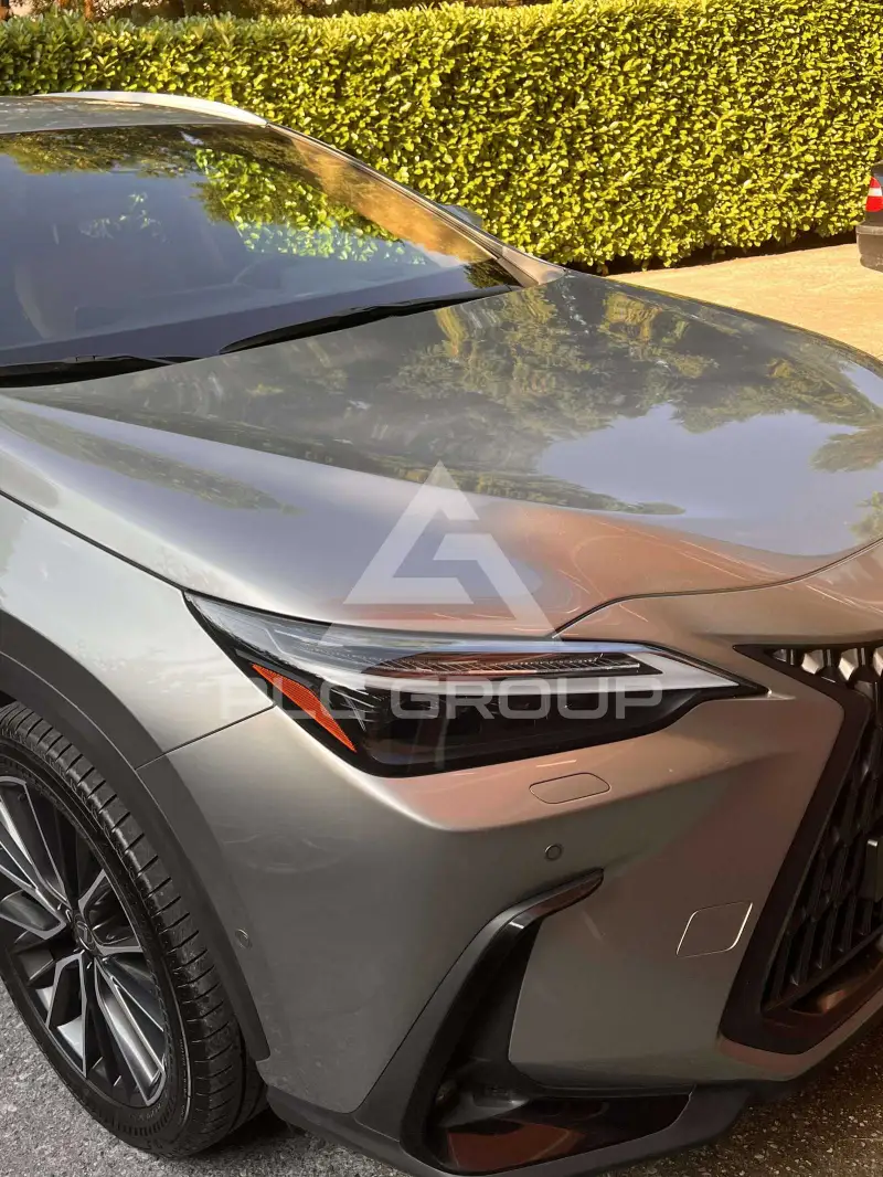 2023 Lexus NX250