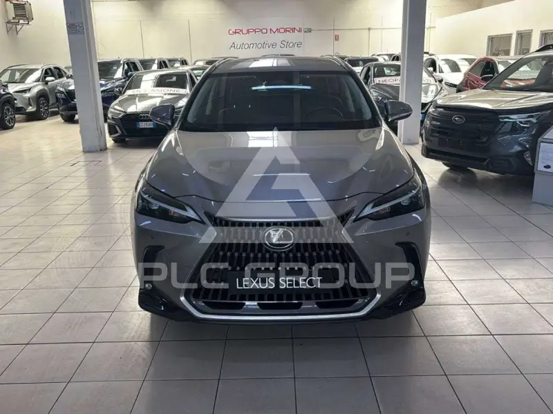 2023 Lexus NX250