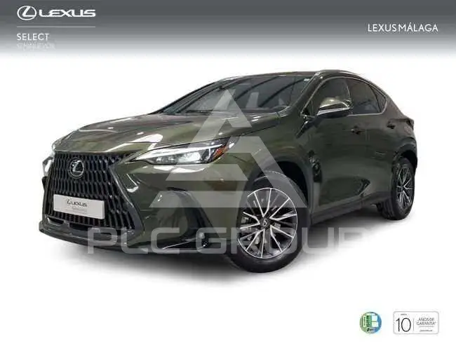 2023 Lexus NX250