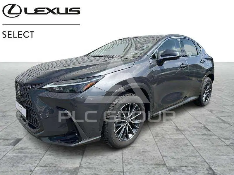 2023 Lexus NX250