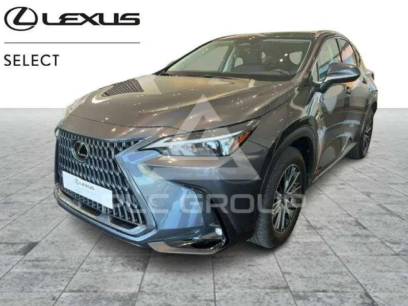 2023 Lexus NX250