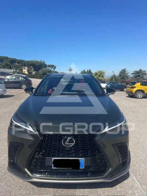 2023 Lexus NX450