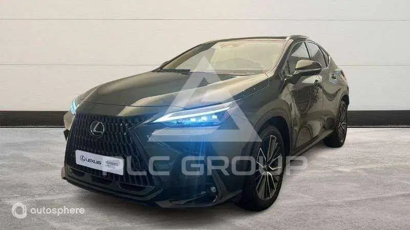 2023 Lexus NX450