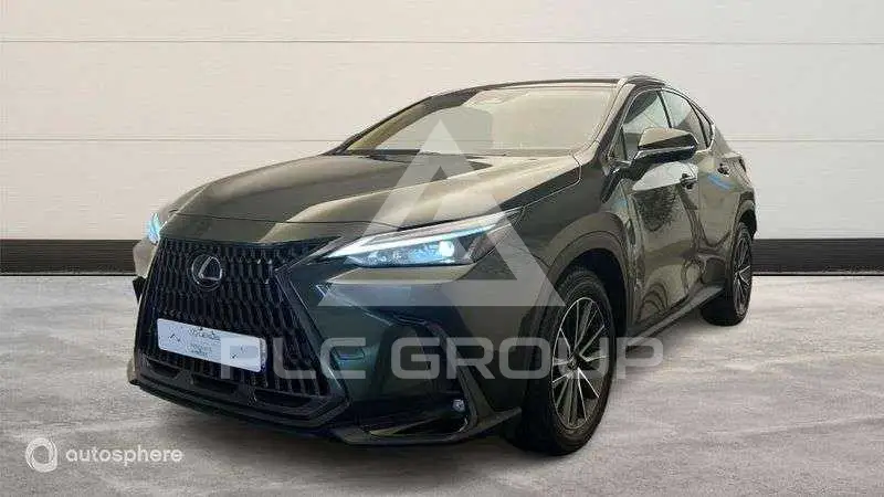 2023 Lexus NX450