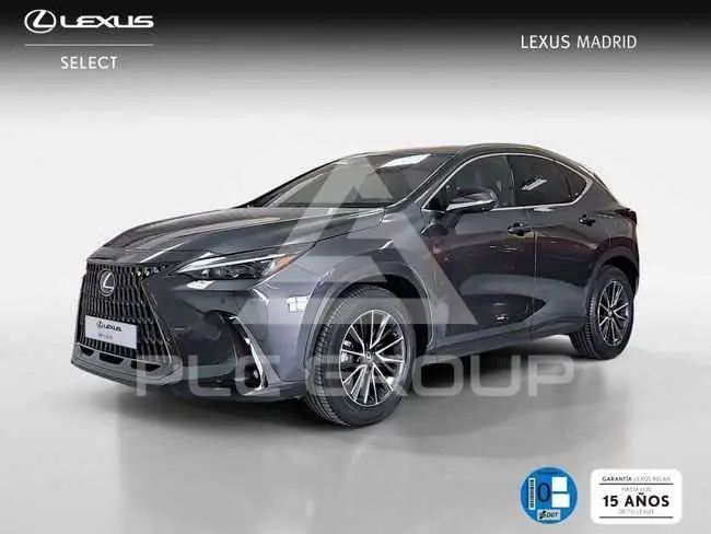 2023 Lexus NX450