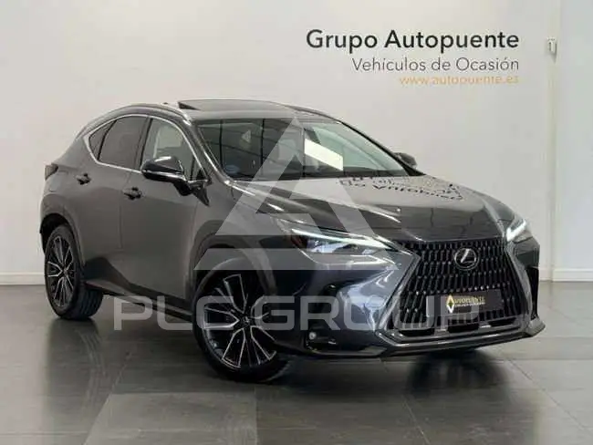 2023 Lexus NX450