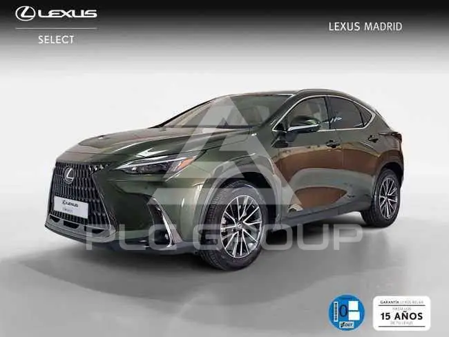 2023 Lexus NX450