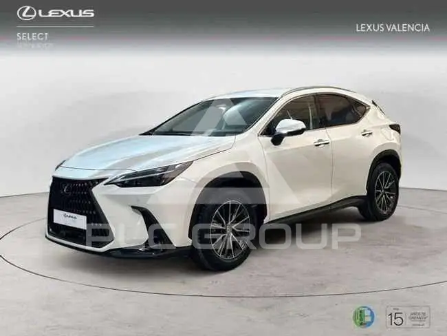 2023 Lexus NX450