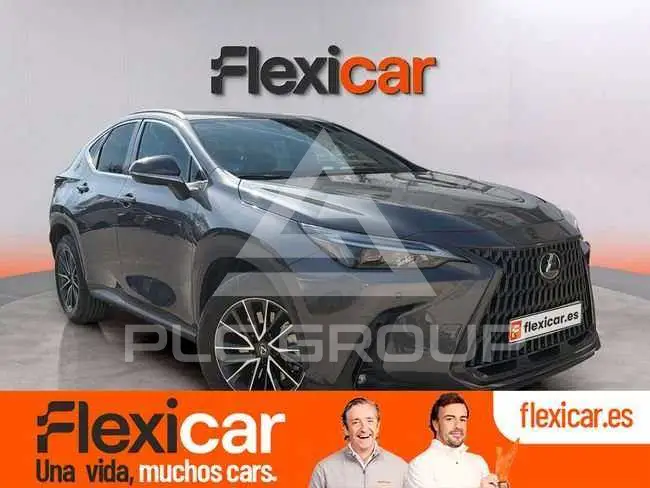 2023 Lexus NX450