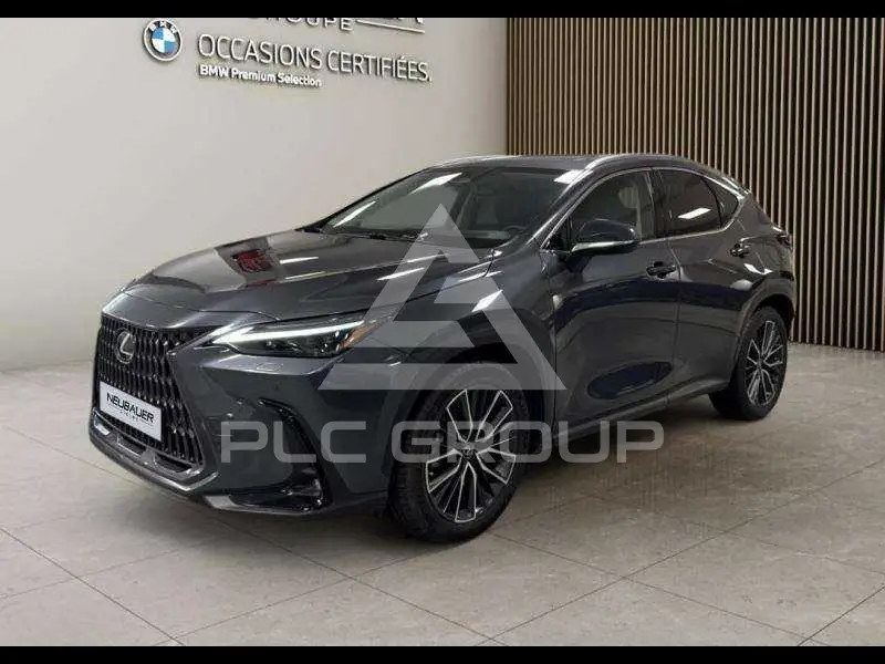2023 Lexus NX450