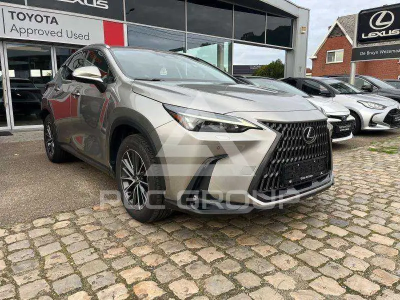 2023 Lexus NX450