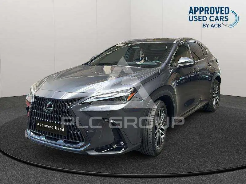 2023 Lexus NX450