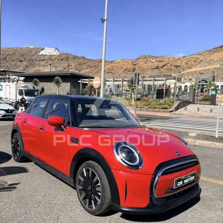 2023 Mini Unknown