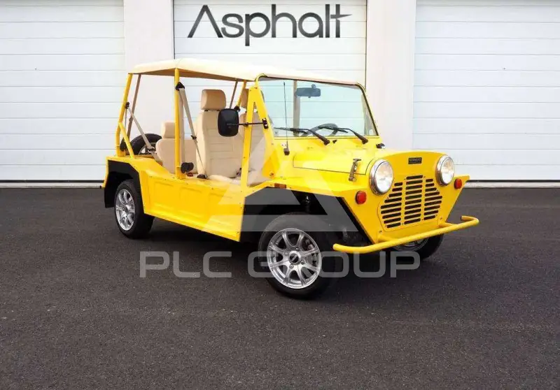 2023 Mini Unknown