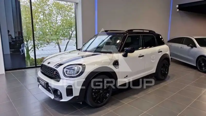 2023 Mini Unknown