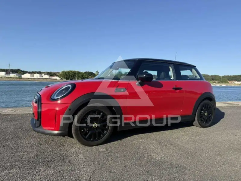 2023 Mini Unknown