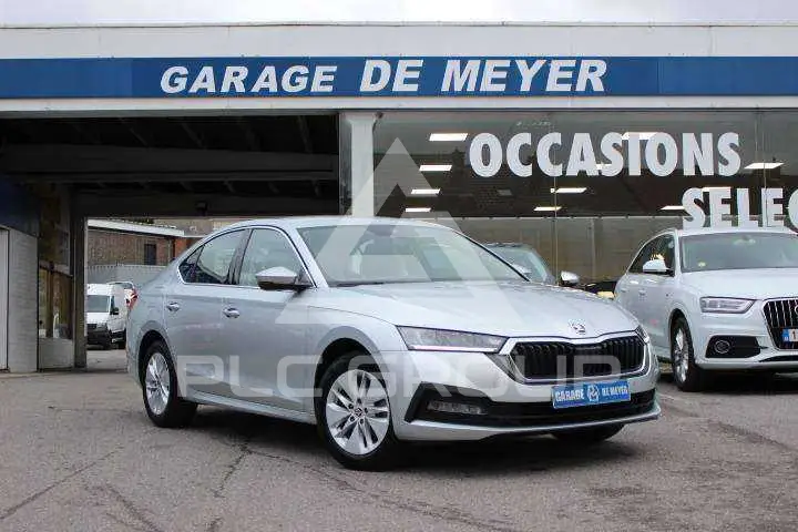 2024 Skoda Octavia