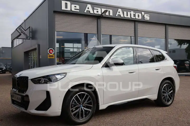 2024 BMW iX