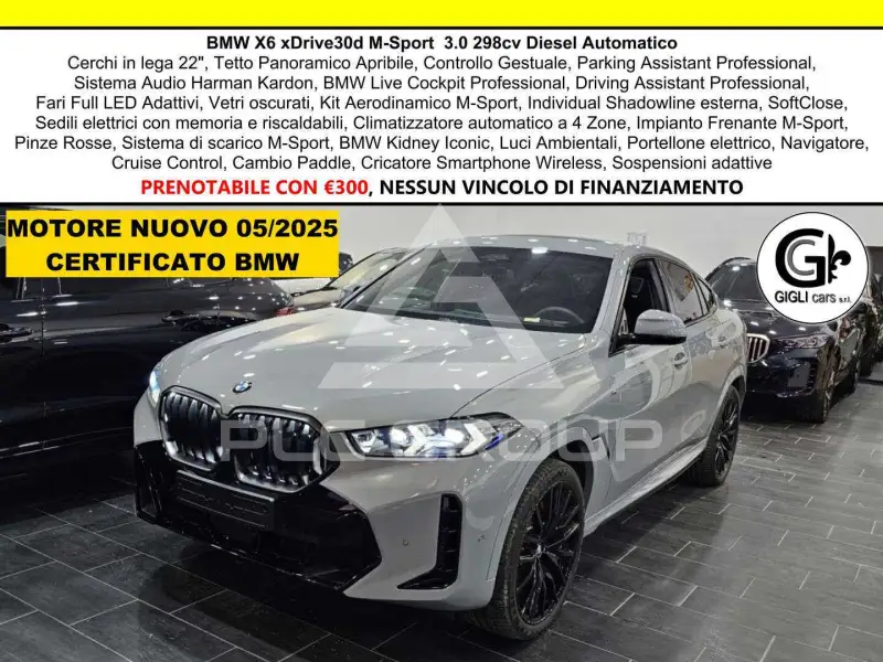 2024 BMW X6