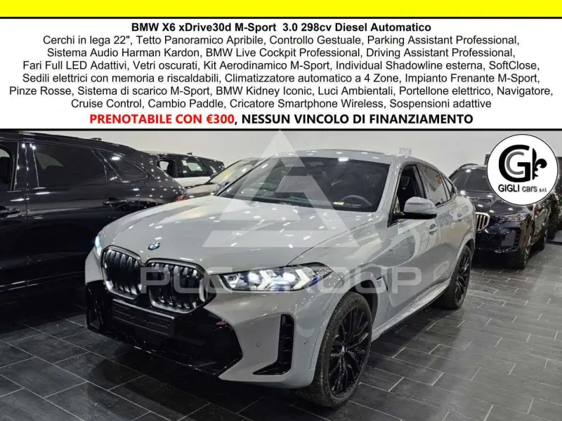 2024 BMW X6