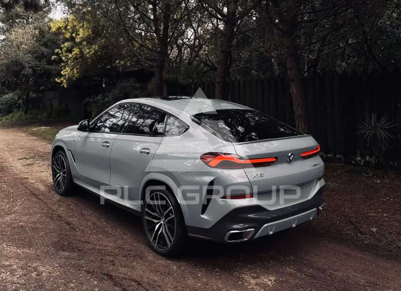 2024 BMW X6