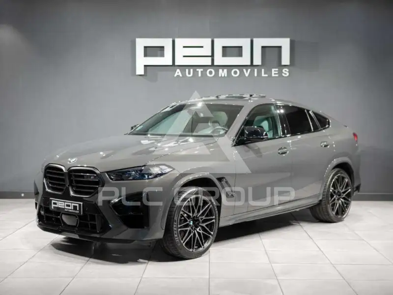 2024 BMW X6