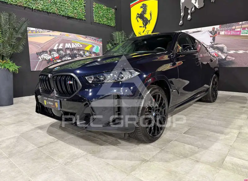 2024 BMW X6