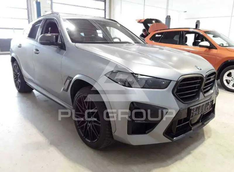 2024 BMW X6