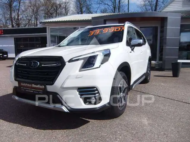 2024 Subaru Forester