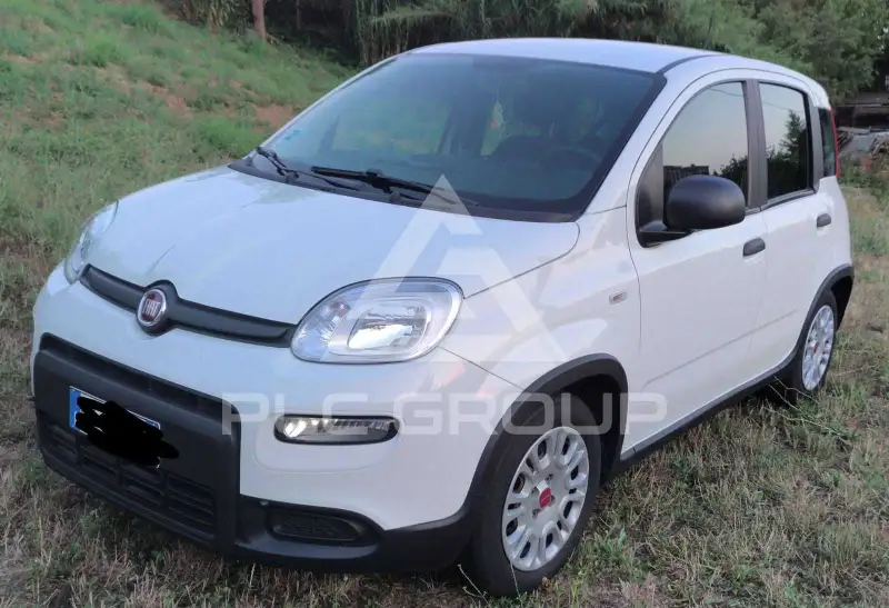 2024 Fiat Panda