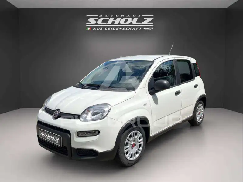 2024 Fiat Panda