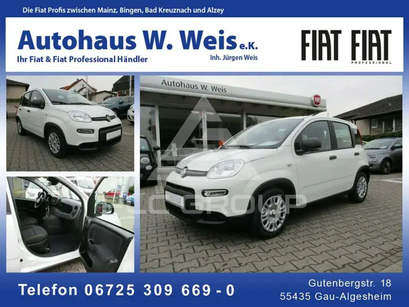 2024 Fiat Panda
