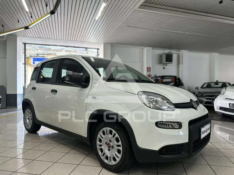 2024 Fiat Panda