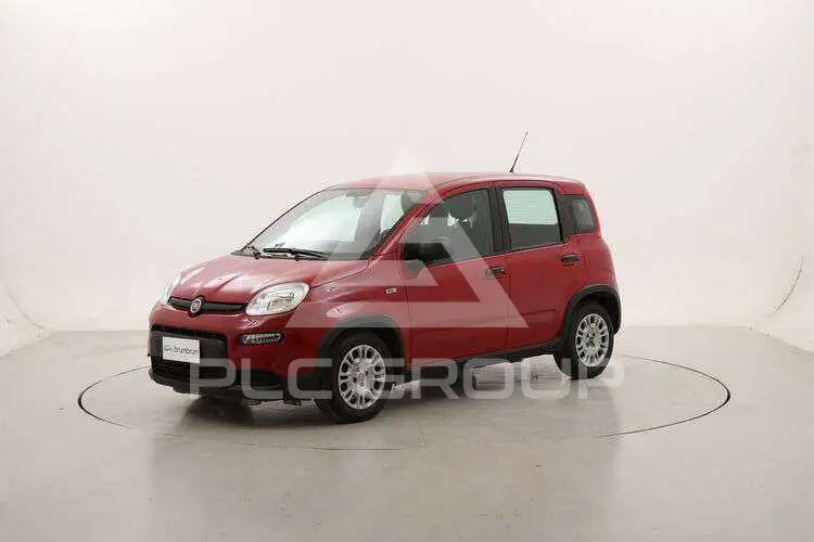 2024 Fiat Panda