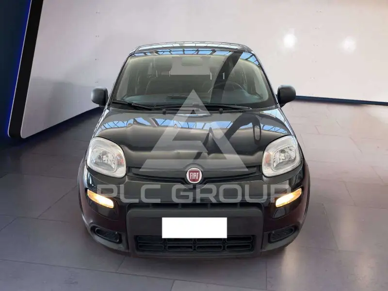 2024 Fiat Panda