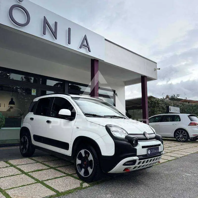 2024 Fiat Panda