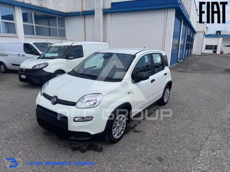 2024 Fiat Panda