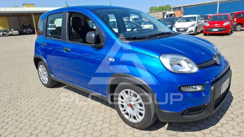 2024 Fiat Panda