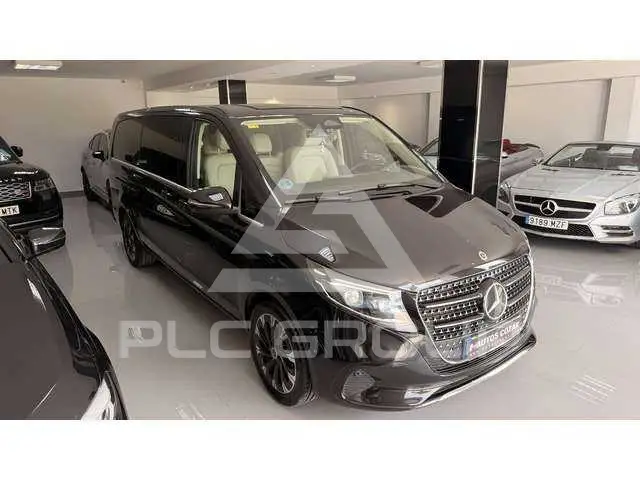 2024 Mercedes Benz V 220