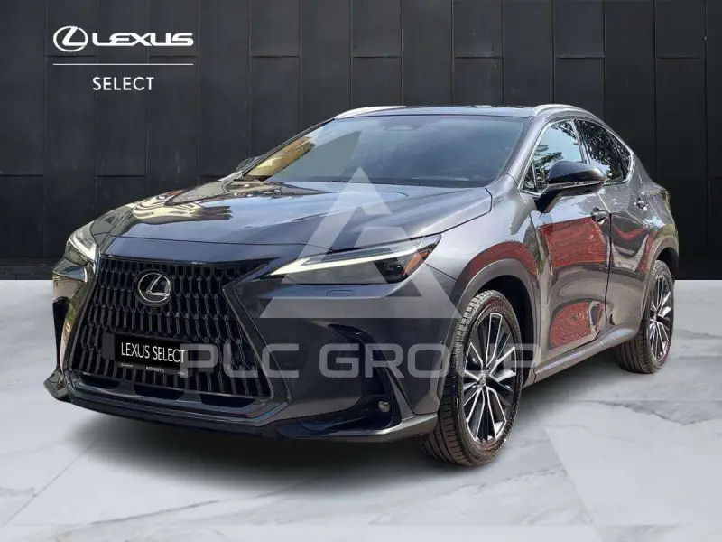 2024 Lexus NX300
