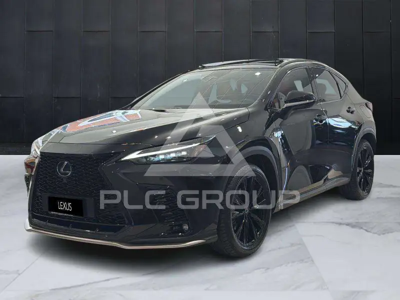 2024 Lexus NX300