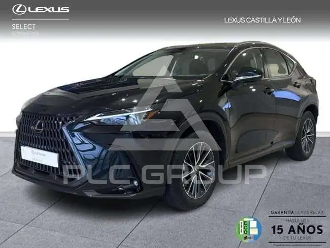 2024 Lexus NX300