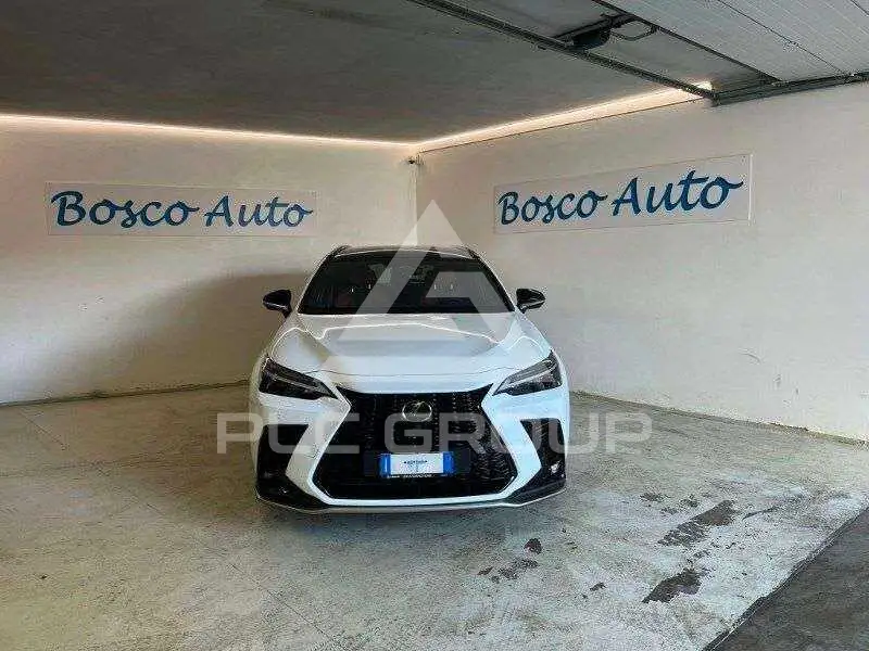 2024 Lexus NX300