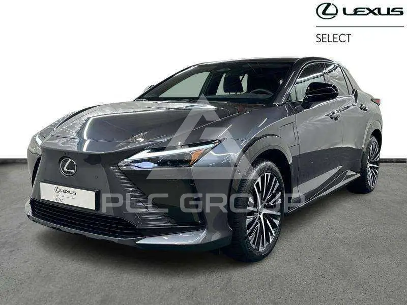 2024 Lexus RZ