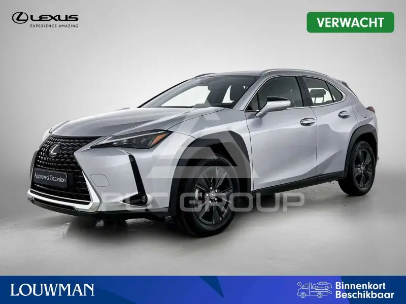2024 Lexus UX250