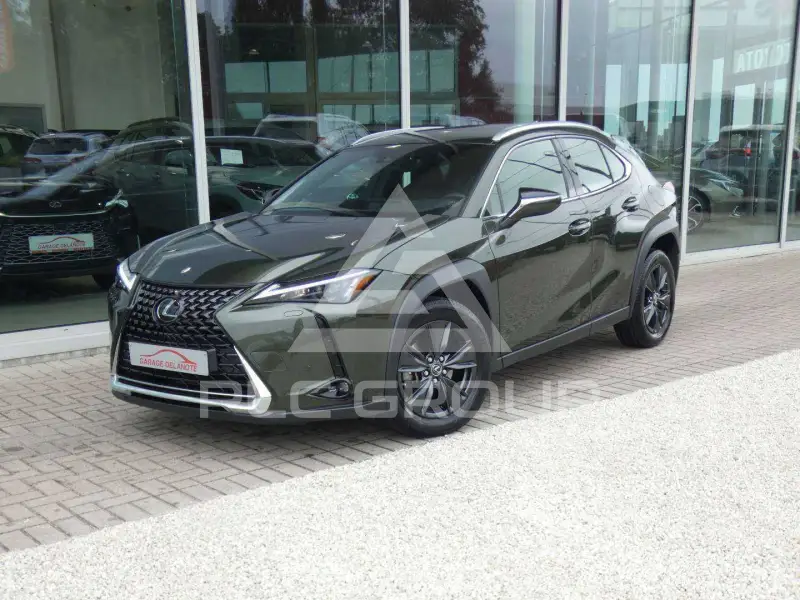 2024 Lexus UX250